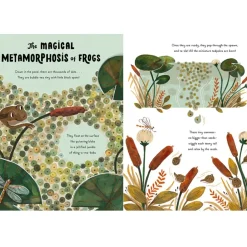5 Minute Nature Stories: A Picture Book | Hardcover
