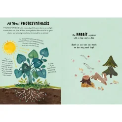 5 Minute Nature Stories: A Picture Book | Hardcover