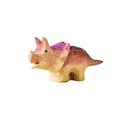 Baby Triceratops Dinosaur