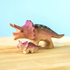 Baby Triceratops Dinosaur
