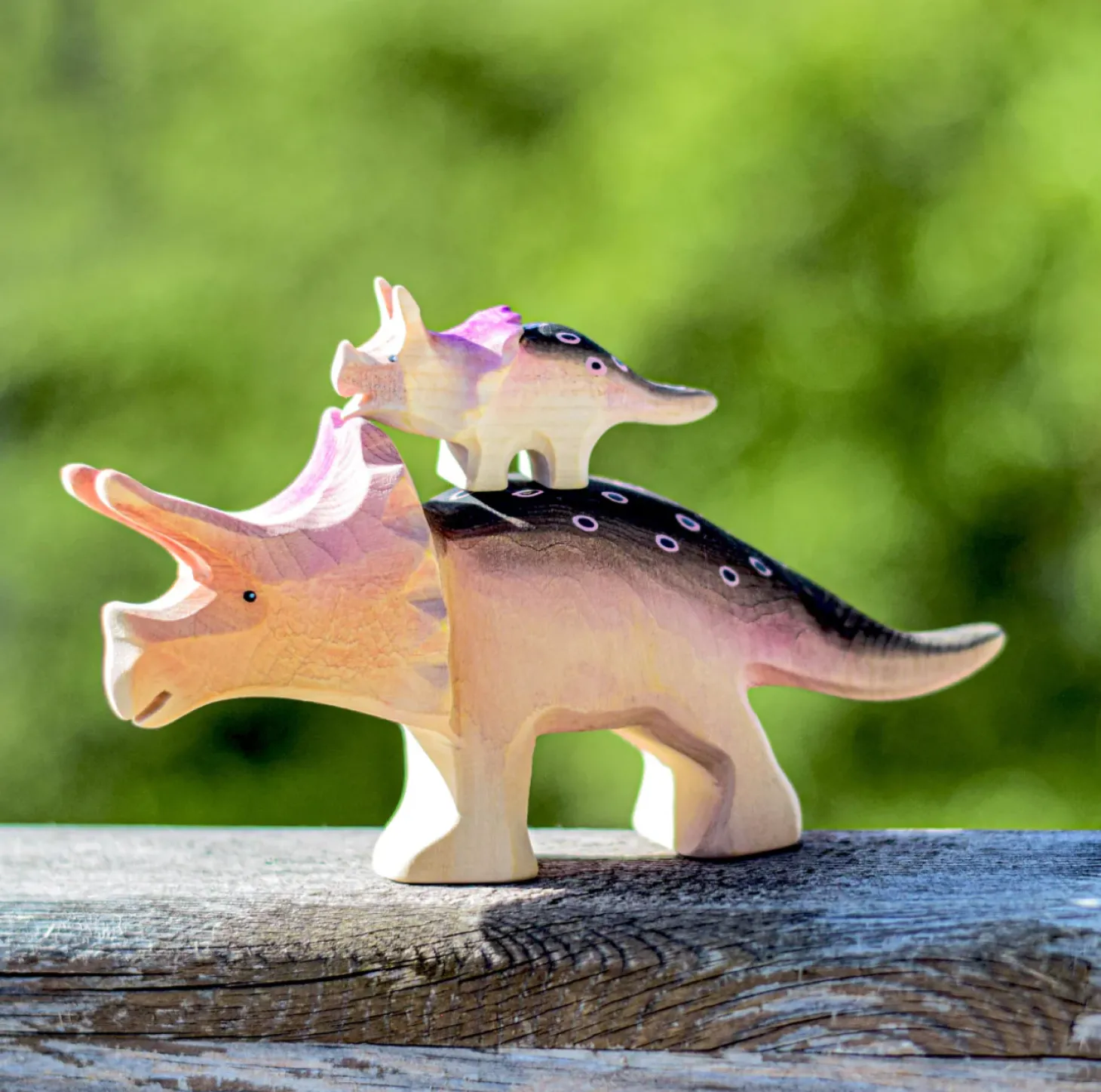 Baby Triceratops Dinosaur