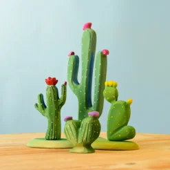 Cacti Set (4 pcs)