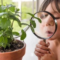 Children's Magnifying Glass