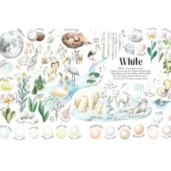 Colors in Nature | Hardcover