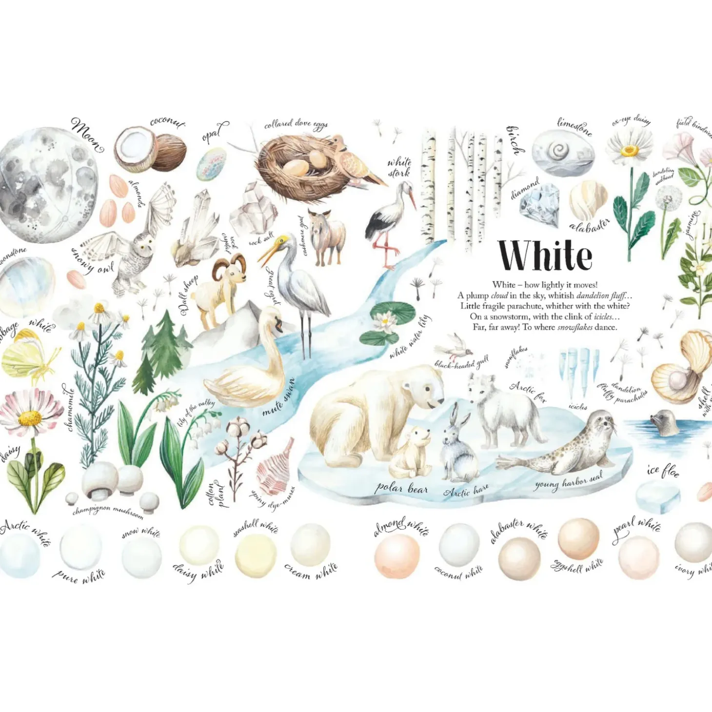 Colors in Nature | Hardcover