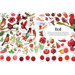 Colors in Nature | Hardcover