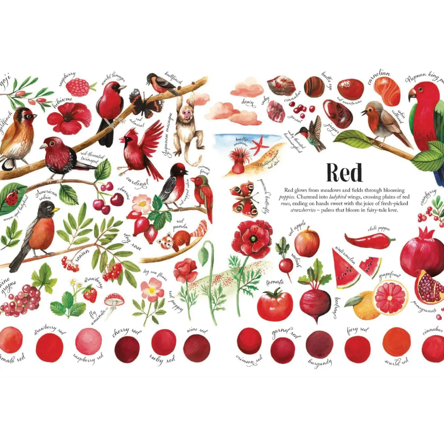 Colors in Nature | Hardcover