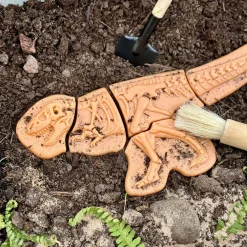 Dig and Discover Sensory Stones (Ankylosaurus & Tyrannosaurus Rex)