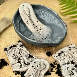 Dig and Discover Sensory Stones (Ankylosaurus & Tyrannosaurus Rex)