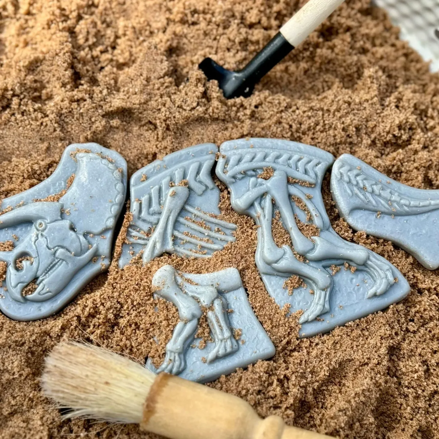 Dig and Discover Sensory Stones (Triceratops & Spinosaurus)