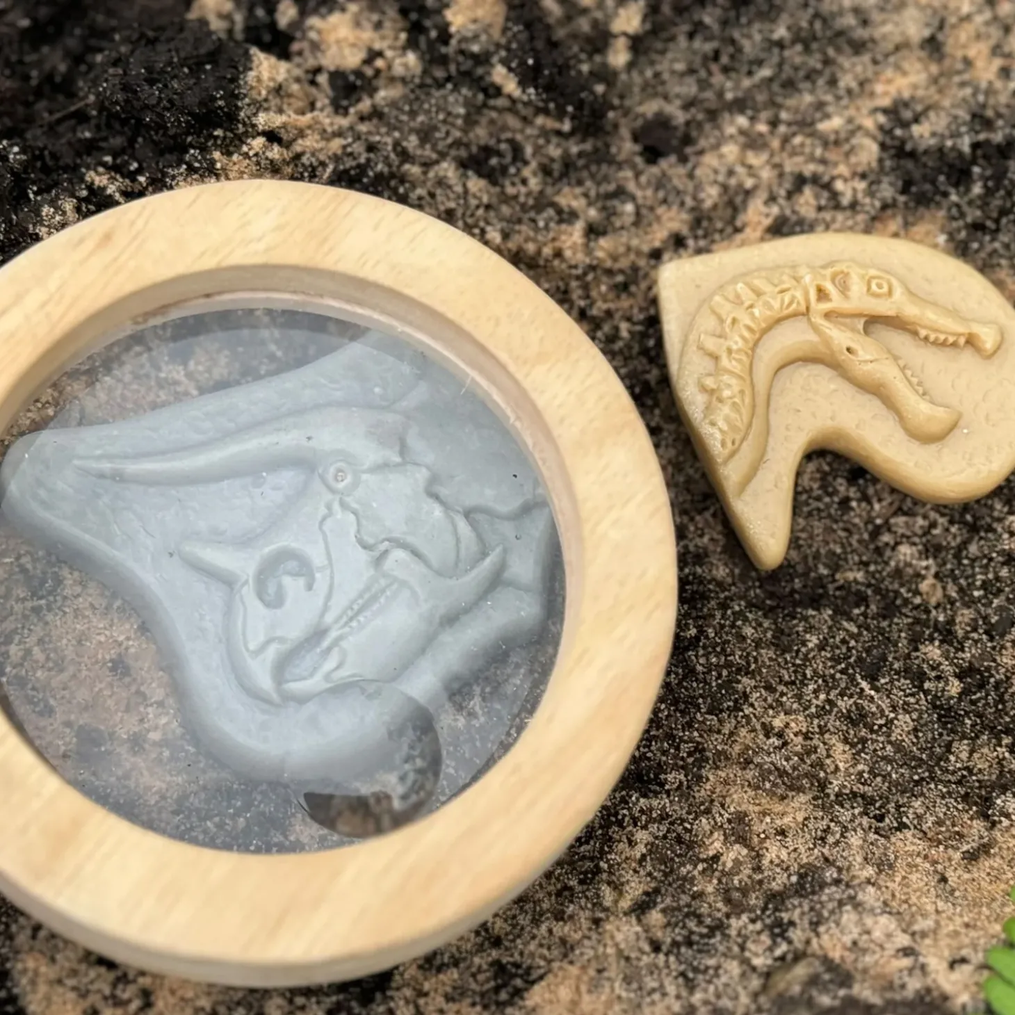 Dig and Discover Sensory Stones (Triceratops & Spinosaurus)