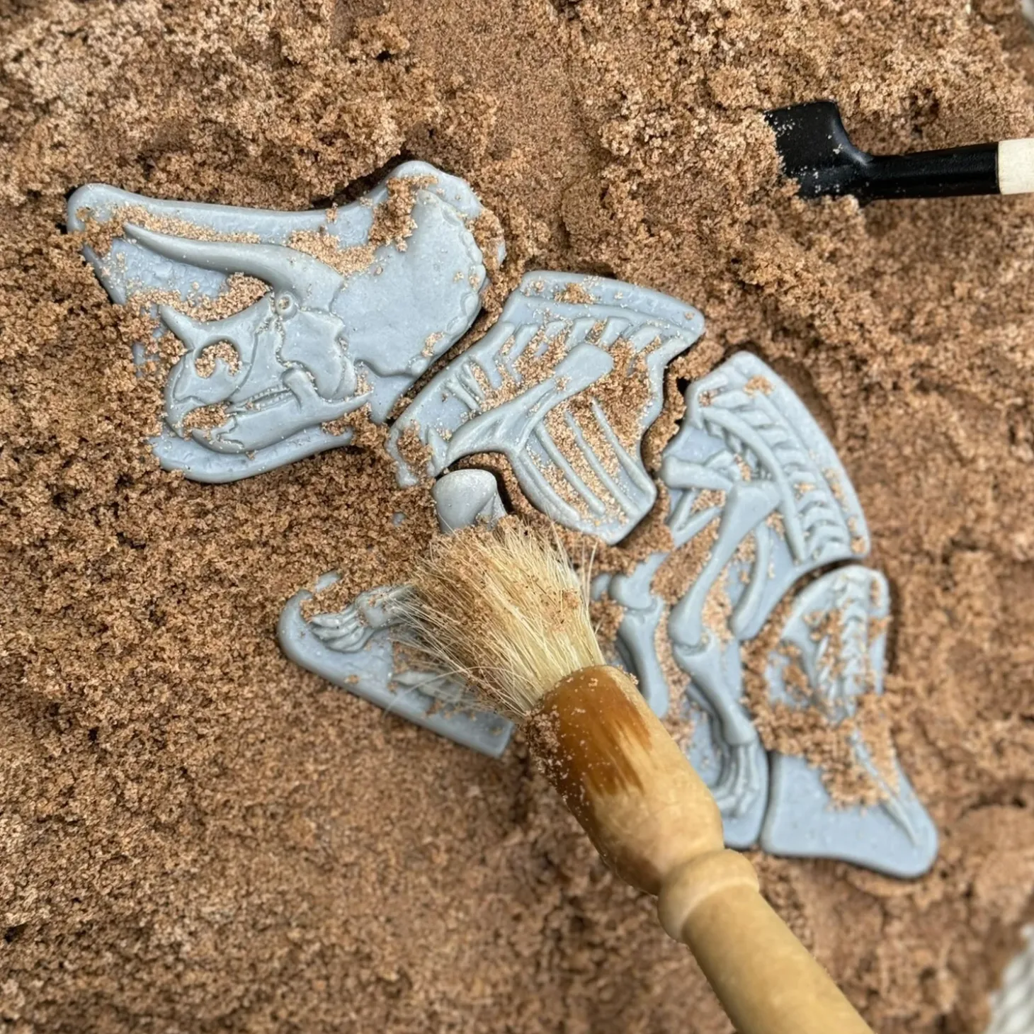 Dig and Discover Sensory Stones (Triceratops & Spinosaurus)