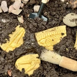 Dig and Discover Sensory Stones (Pliosaur & Stegosaurus)