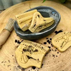 Dig and Discover Sensory Stones (Pliosaur & Stegosaurus)