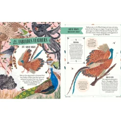 Fly: A Family Guide to Birds and How to Spot Them | Hardcover