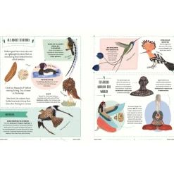 Fly: A Family Guide to Birds and How to Spot Them | Hardcover