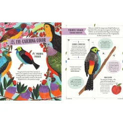 Fly: A Family Guide to Birds and How to Spot Them | Hardcover