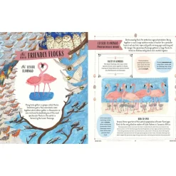 Fly: A Family Guide to Birds and How to Spot Them | Hardcover