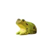 Frog | Wooden Toy