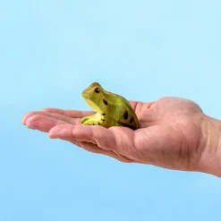 Frog | Wooden Toy