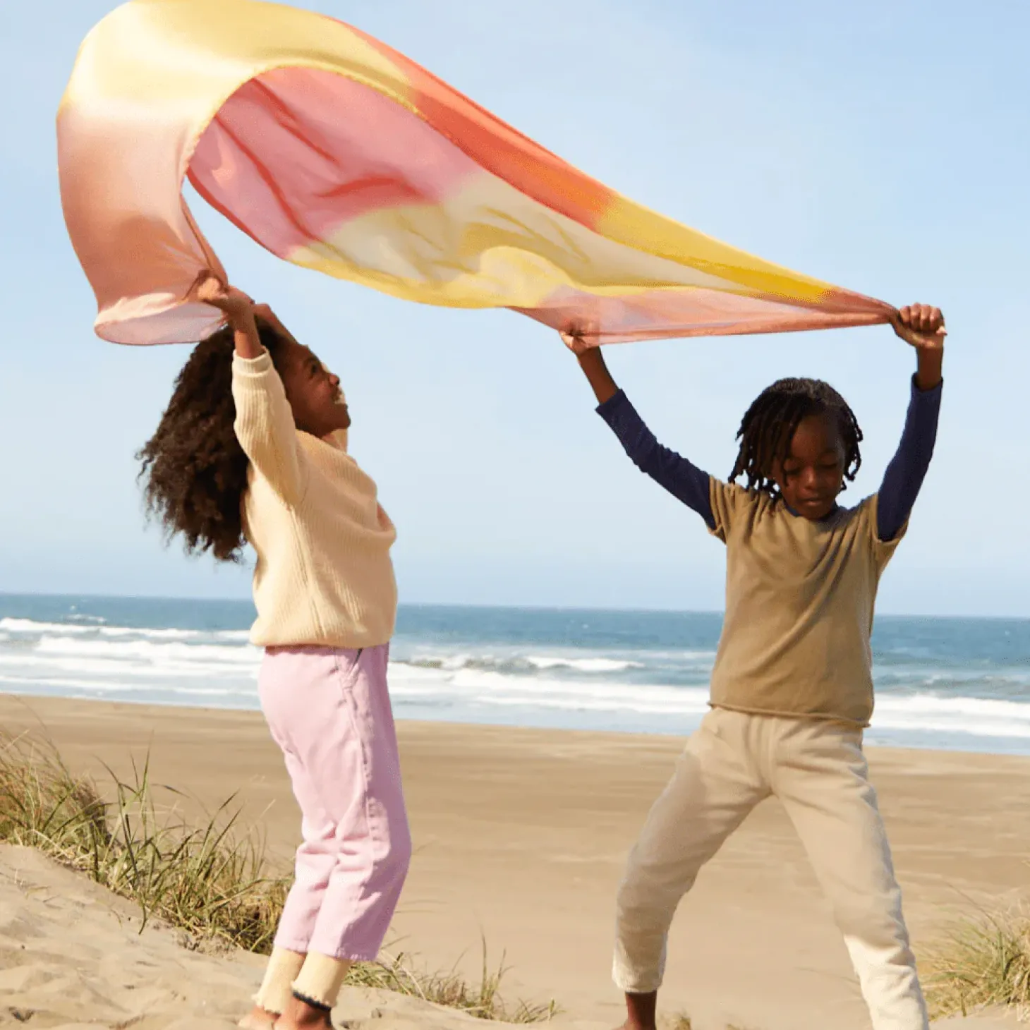 Giant Playsilk (Desert)