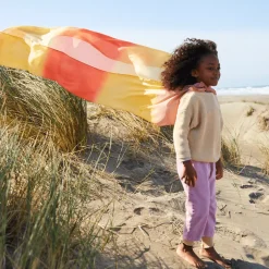 Giant Playsilk (Desert)