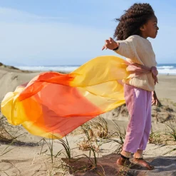 Giant Playsilk (Desert)