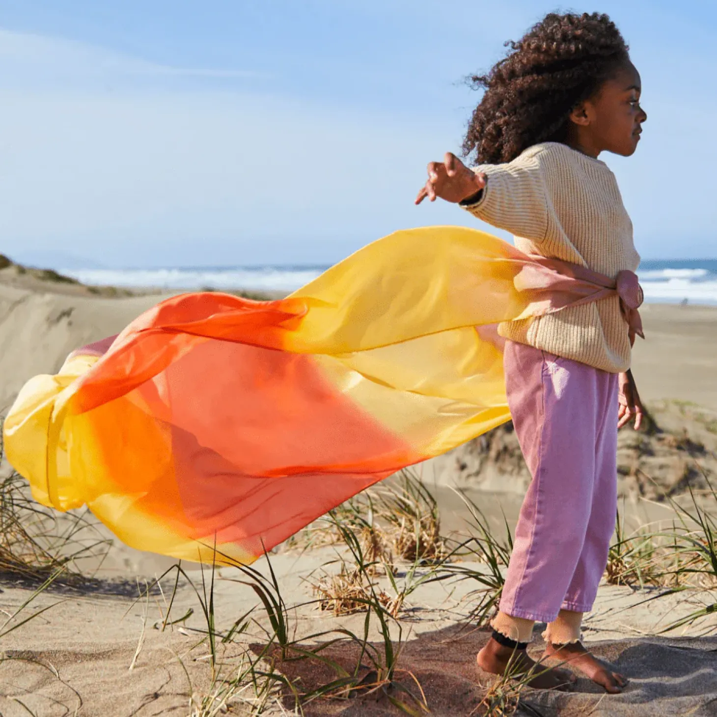 Giant Playsilk (Desert)