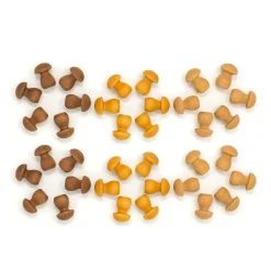 Grapat Mandala (Mushrooms)