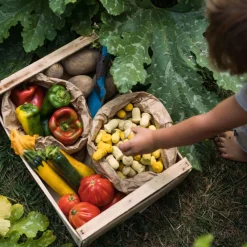 Grapat Mandala (Tulips)
