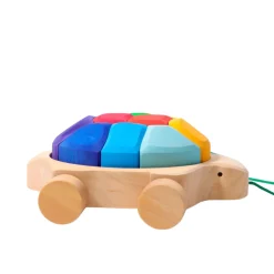 Grimm's Pull Along Turtle with Rainbow Building Blocks