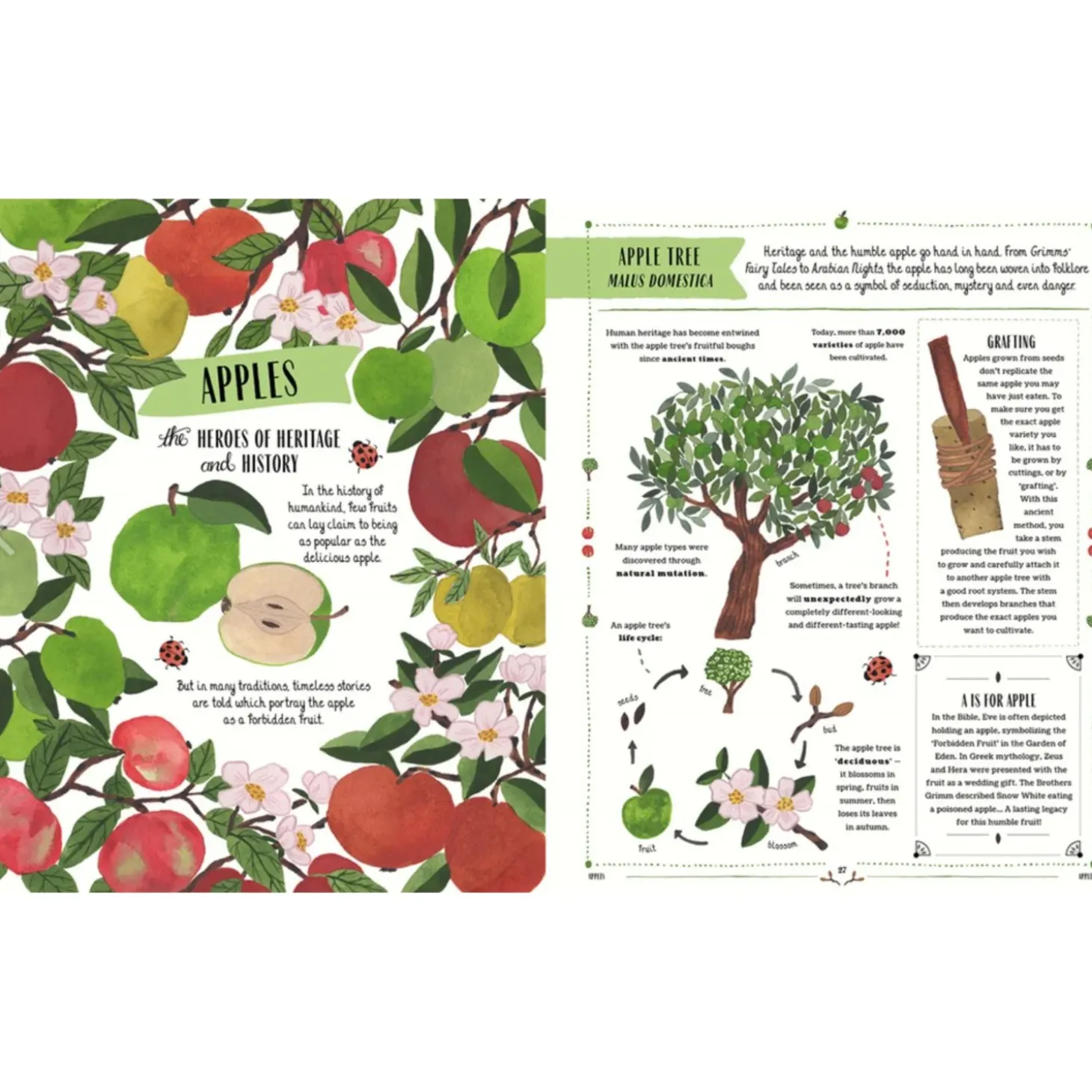 Grow: A Family Guide To Plants And How To Grow Them | Hardcover