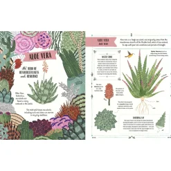 Grow: A Family Guide To Plants And How To Grow Them | Hardcover