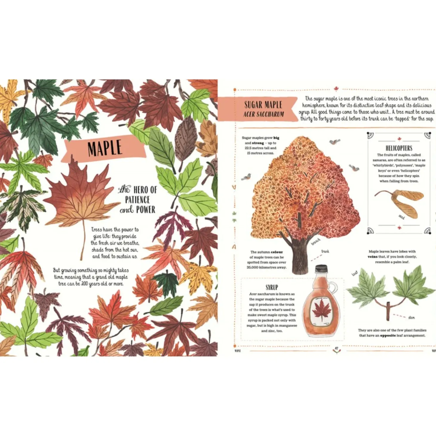 Grow: A Family Guide To Plants And How To Grow Them | Hardcover