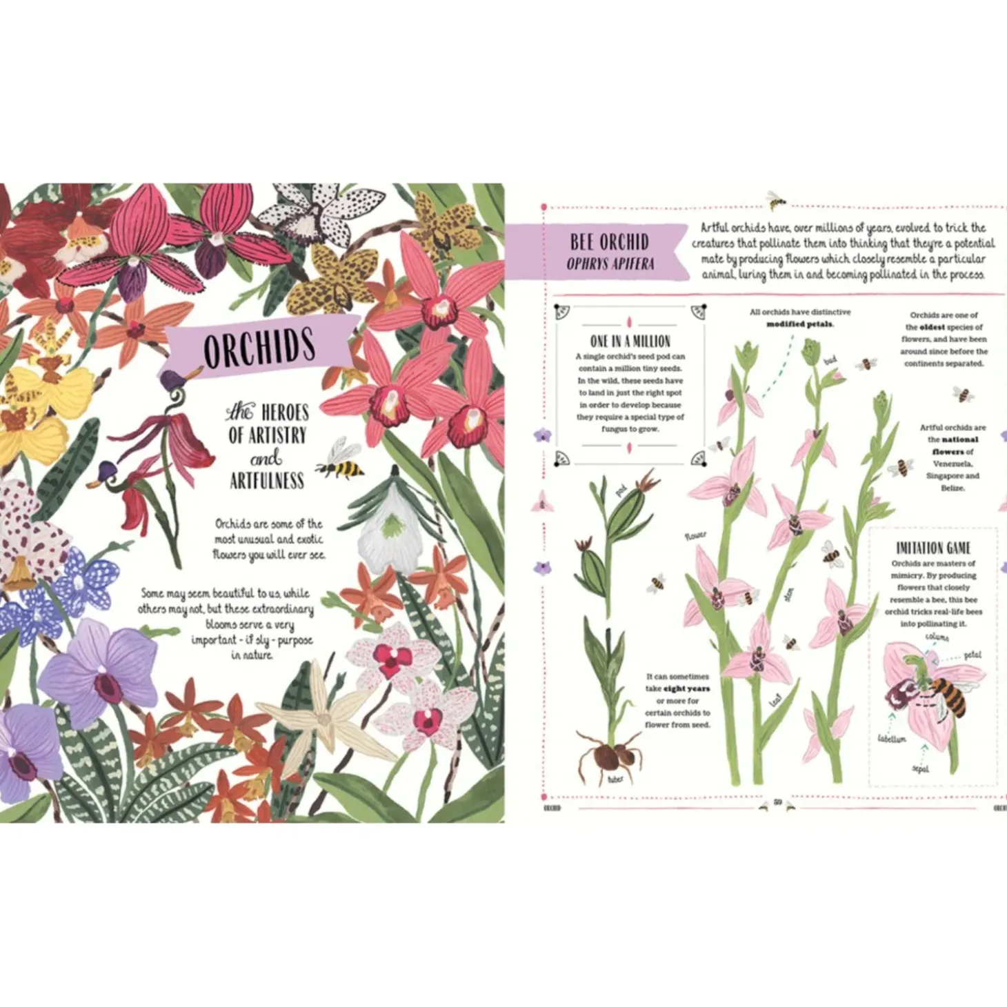 Grow: A Family Guide To Plants And How To Grow Them | Hardcover