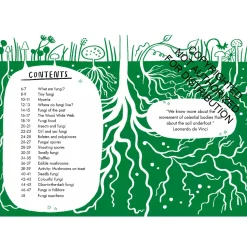 Hello Fungi: A Little Guide to Nature | Hardcover