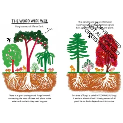 Hello Fungi: A Little Guide to Nature | Hardcover