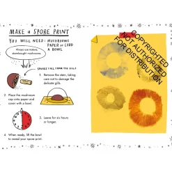 Hello Fungi: A Little Guide to Nature | Hardcover