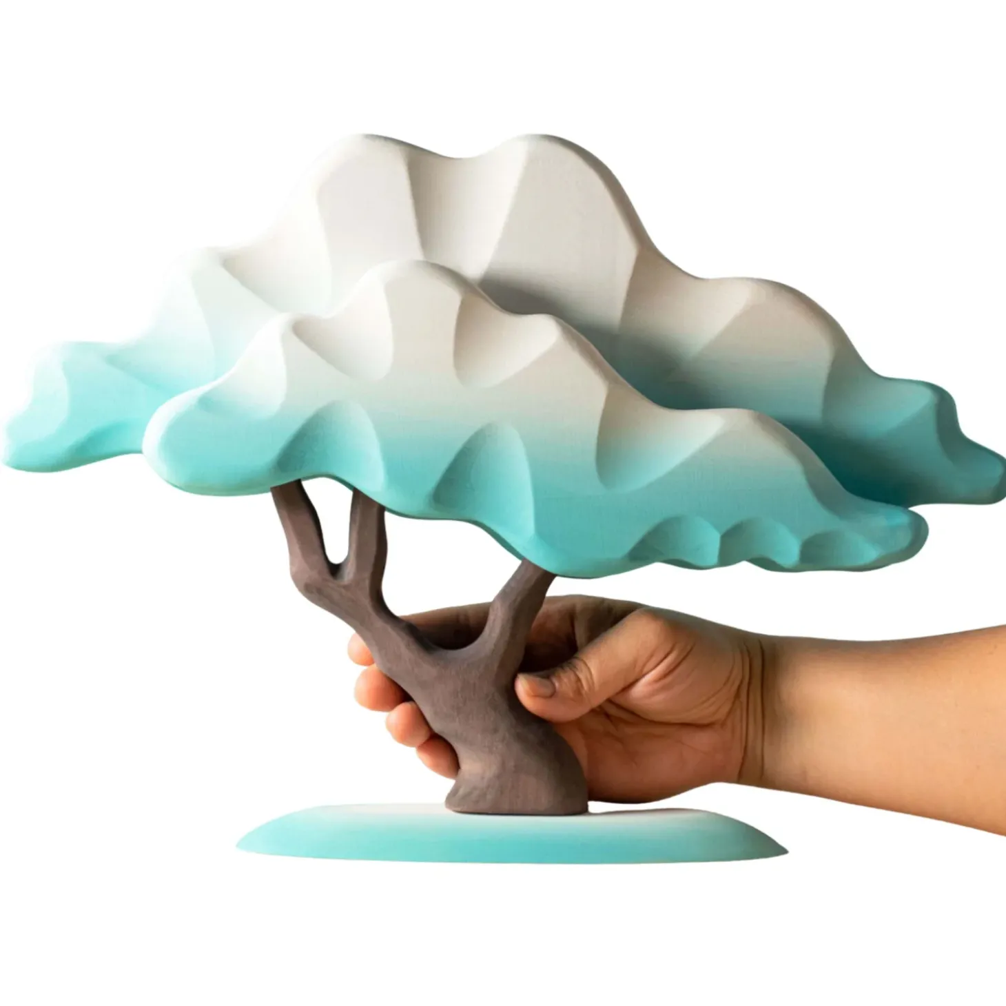 Japanese Winter Maple (Blue)