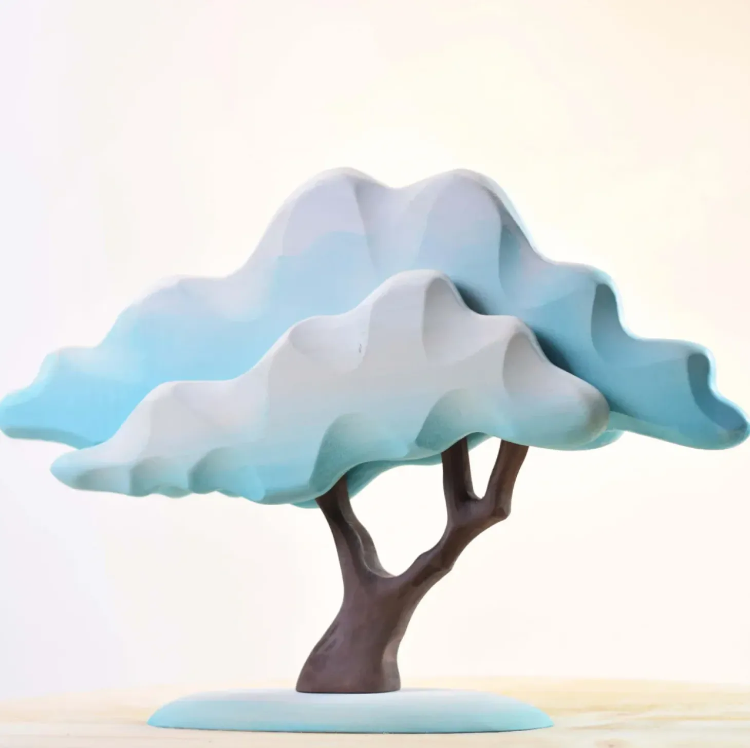 Japanese Winter Maple (Blue)