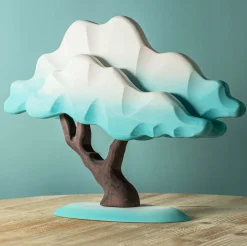 Japanese Winter Maple (Blue)