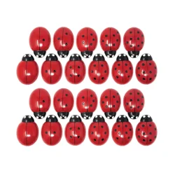 Lady Bug Counting Stones (Set of 22)
