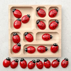 Lady Bug Counting Stones (Set of 22)