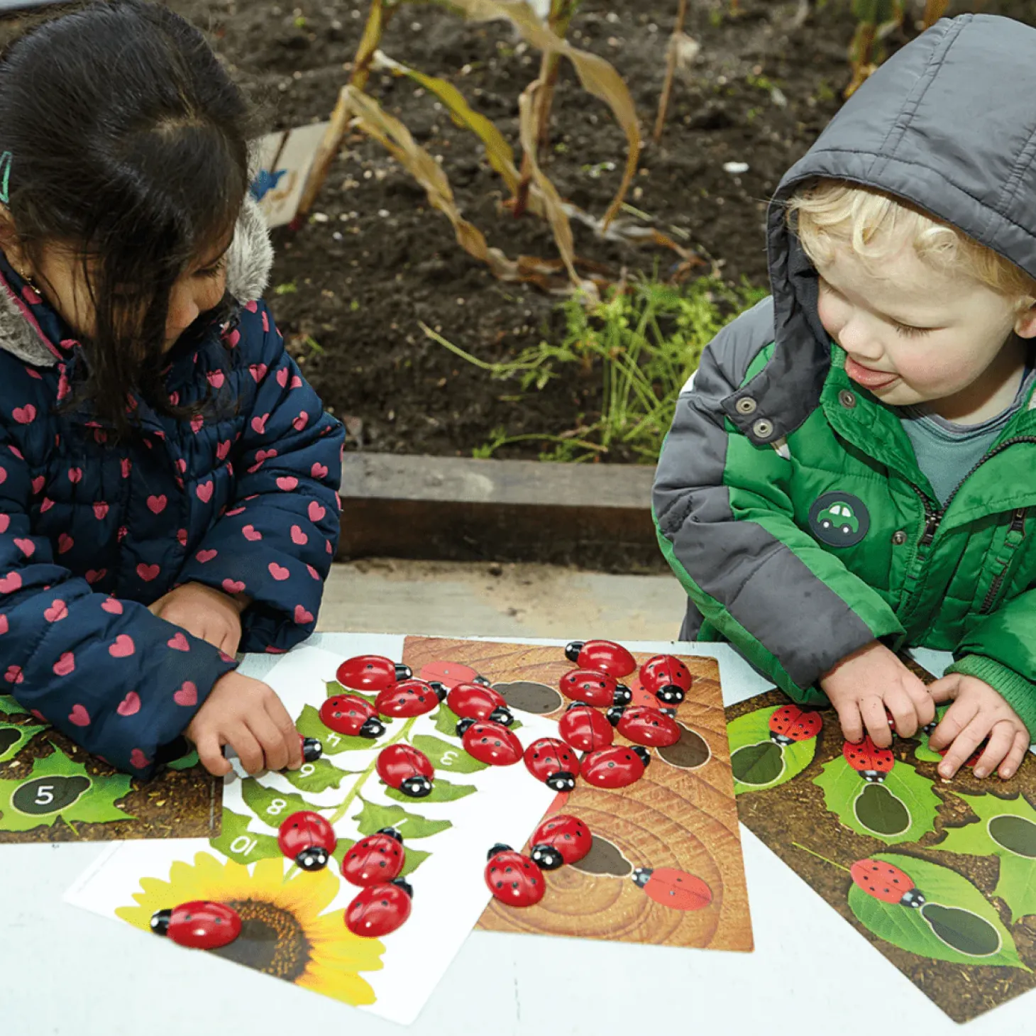 Lady Bug Counting Stones (Set of 22)