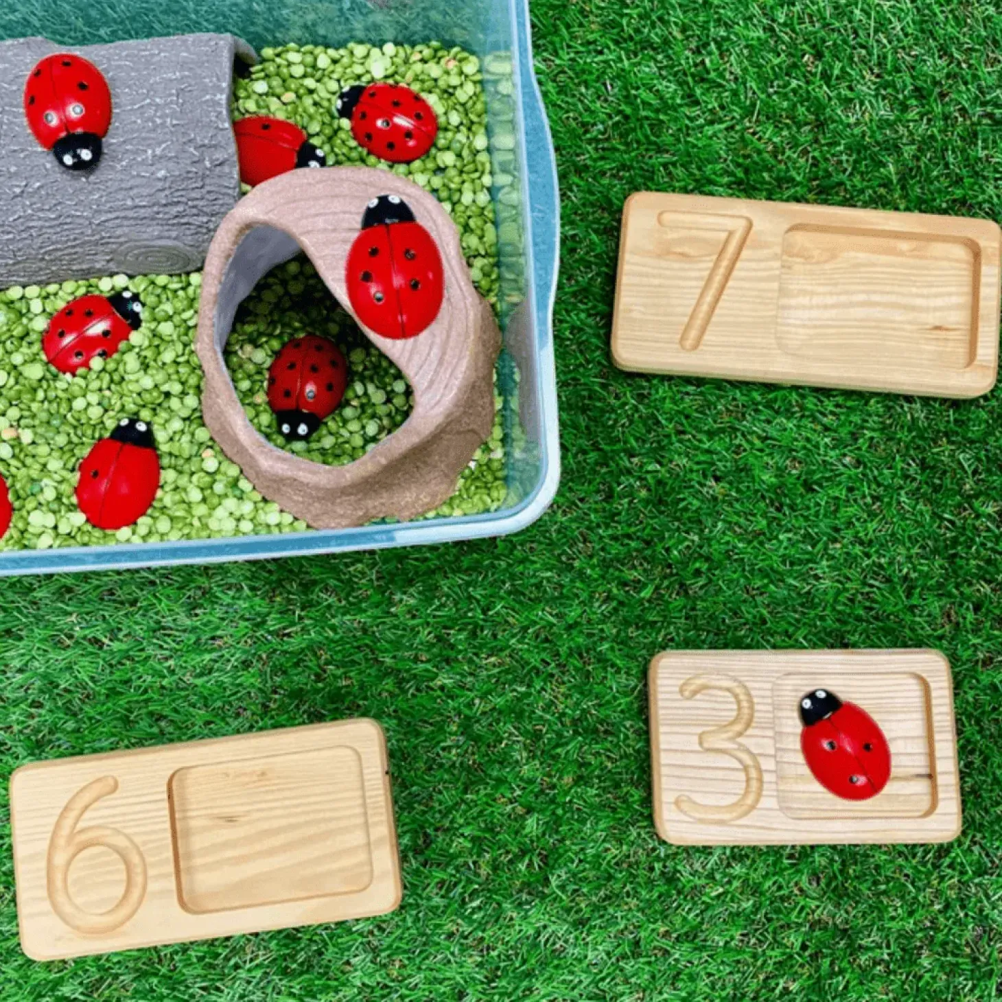 Lady Bug Counting Stones (Set of 22)