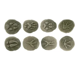 Let's Investigate Footprints Sensory Stones (Woodland)
