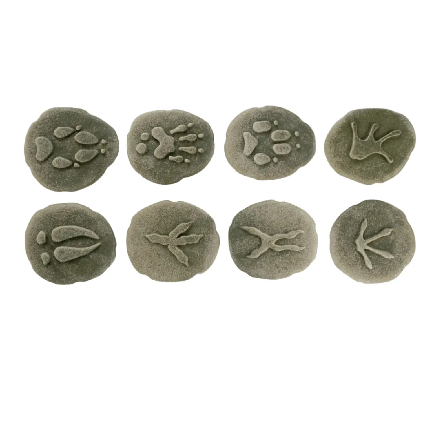 Let's Investigate Footprints Sensory Stones (Woodland)