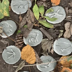 Let's Investigate Footprints Sensory Stones (Woodland)