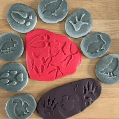 Let's Investigate Footprints Sensory Stones (Woodland)