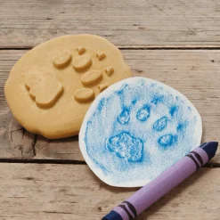 Let's Investigate Footprints Sensory Stones (Safari)